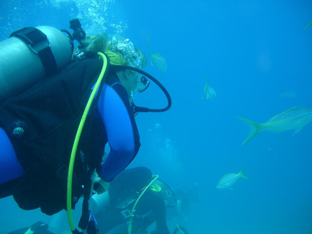 2008-05-12 16-28-14.JPG